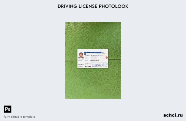 цифровая загрузка индийской версии водительских прав, фотоизображение шаблона ПЕ